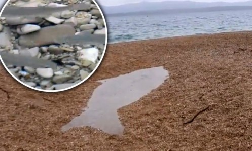 Zlatni rat dobio svoje jezerce u obliku ribe, a u njemu se nalaze – ribe!